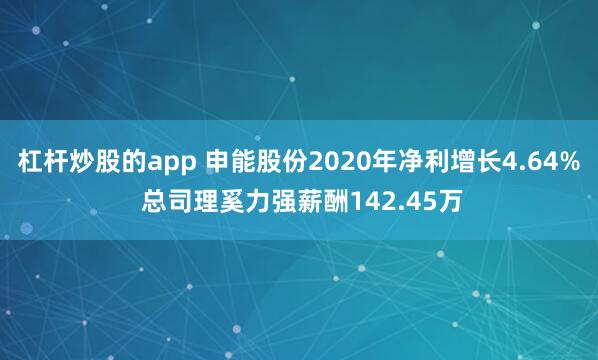 杠杆炒股的app 申能股份2020年净利增长4.64% 总司理奚力强薪酬142.45万