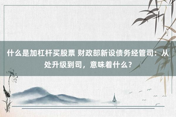 什么是加杠杆买股票 财政部新设债务经管司：从处升级到司，意味着什么？