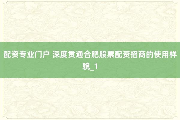 配资专业门户 深度贯通合肥股票配资招商的使用样貌_1