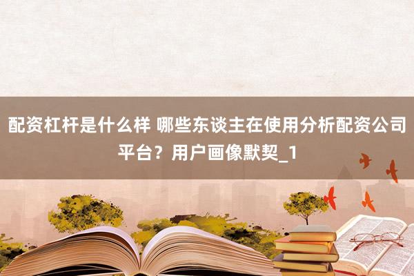 配资杠杆是什么样 哪些东谈主在使用分析配资公司平台？用户画像默契_1