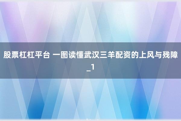 股票杠杠平台 一图读懂武汉三羊配资的上风与残障_1